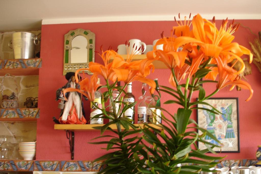 Pension El Hidalgo Calpe Exterior photo